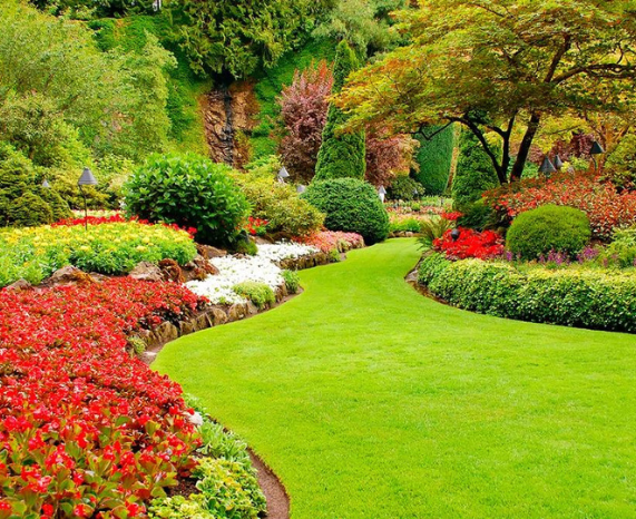 Design sans titre(12)