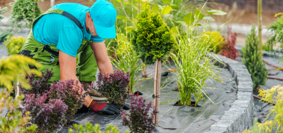 Design sans titre(33)